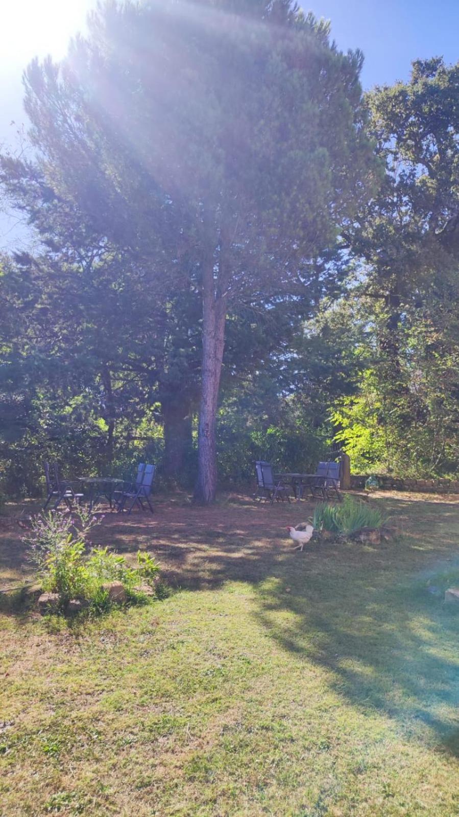 Camping Le Marche Apartments Gualdo di Macerata Esterno foto
