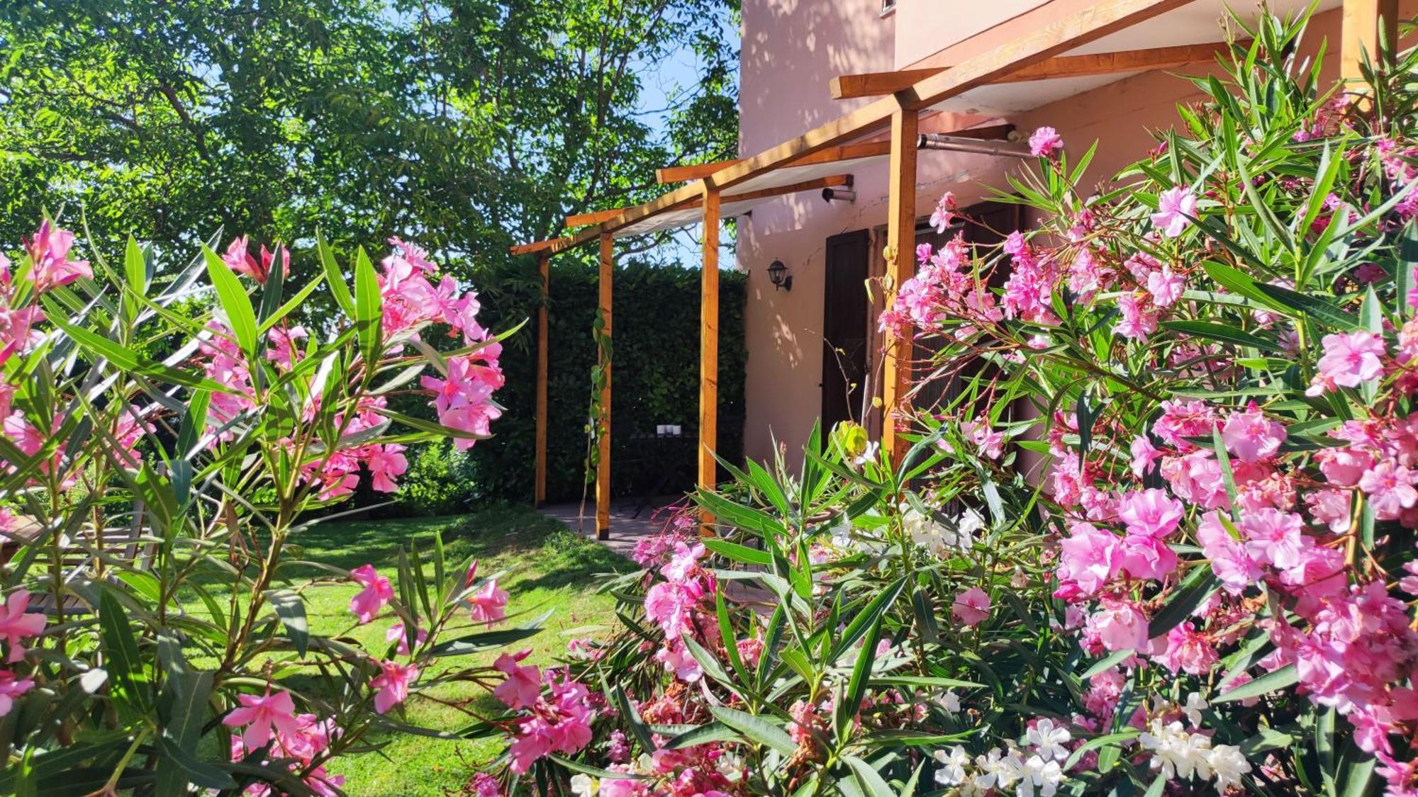 Camping Le Marche Apartments Gualdo di Macerata Esterno foto